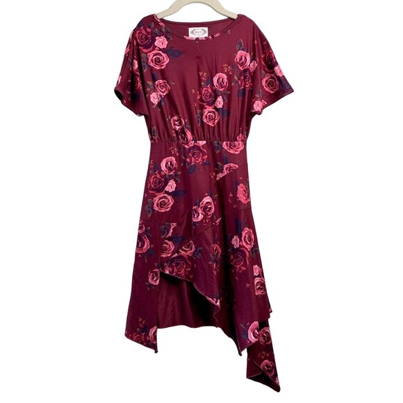 Mia Joy Other - MIA JOY Asymmetric Hem Girls Dress Girls 4 4T Burgundy Joyfolie Pink Rose Print